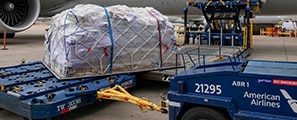 American Airlines Delivers the Goods