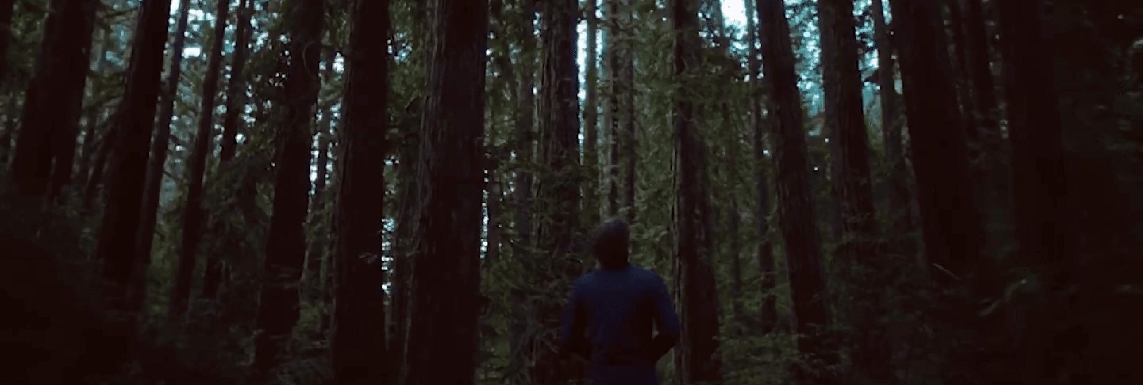 Dense forest